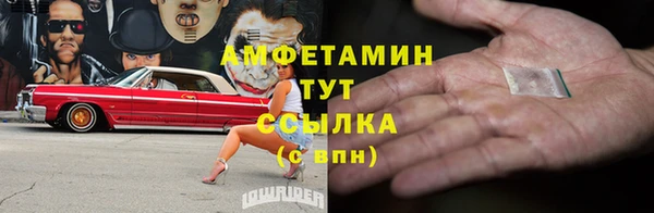 дживик Надым