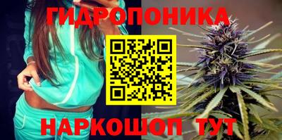 прущие грибы Гусиноозёрск