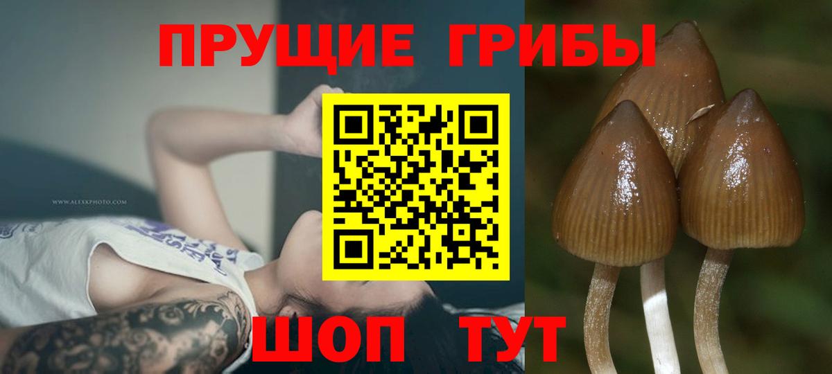 Галлюциногенные грибы ЛСД  Вход с VPN  Киров 