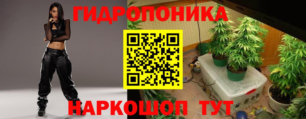 Бошки марихуана марихуана Киров